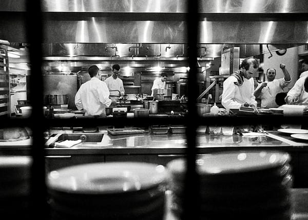 Раки любят, чтобы их варили живыми